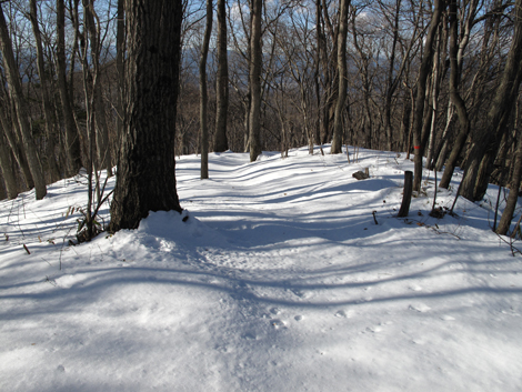20180126hike (336)